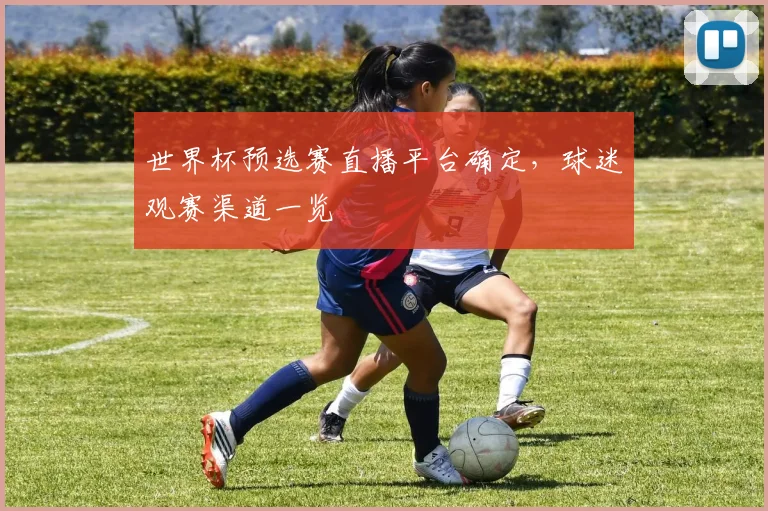 世界杯预选赛直播平台确定,球迷观赛渠道一览
