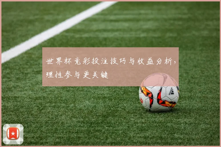 世界杯竞彩投注技巧与收益分析,理性参与更关键