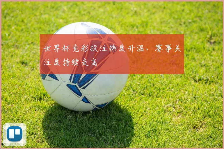 世界杯竞彩投注热度升温,赛事关注度持续走高