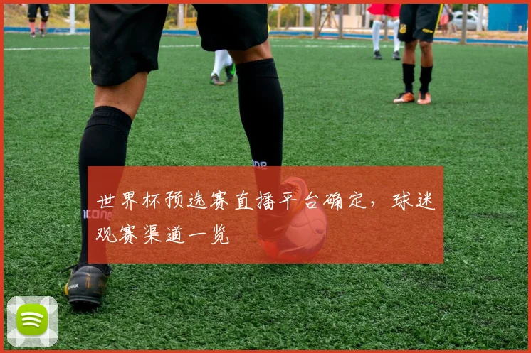 世界杯预选赛直播平台确定，球迷观赛渠道一览