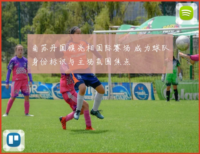 南苏丹国旗亮相国际赛场 成为球队身份标识与主场氛围焦点