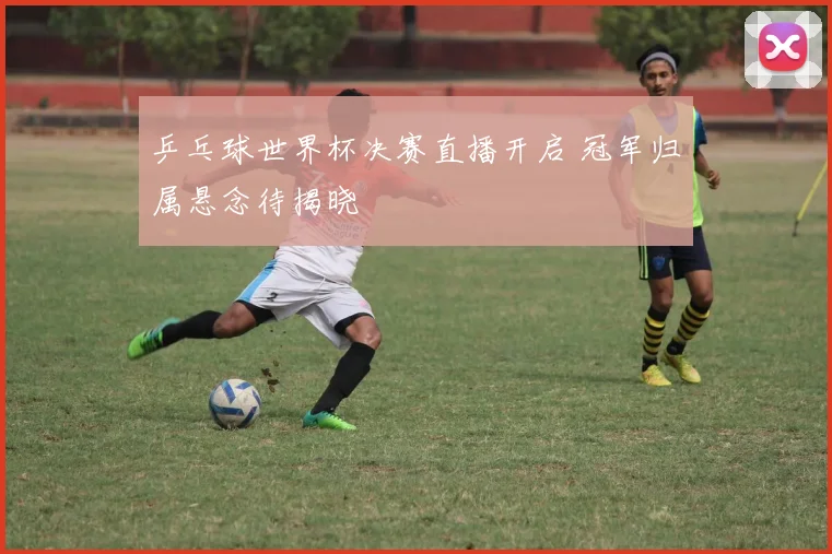 乒乓球世界杯决赛直播开启 冠军归属悬念待揭晓