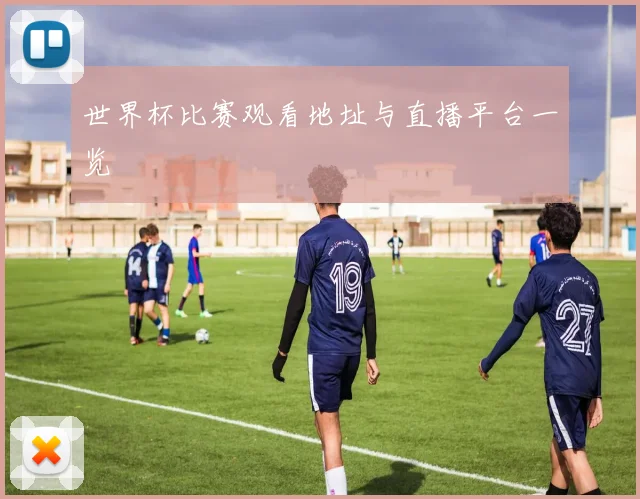 世界杯比赛观看地址与直播平台一览