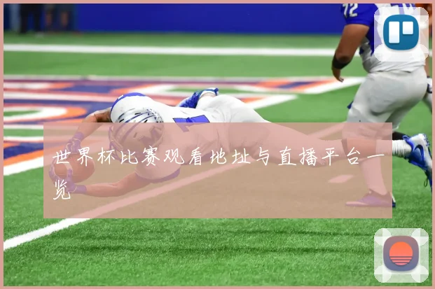 世界杯比赛观看地址与直播平台一览