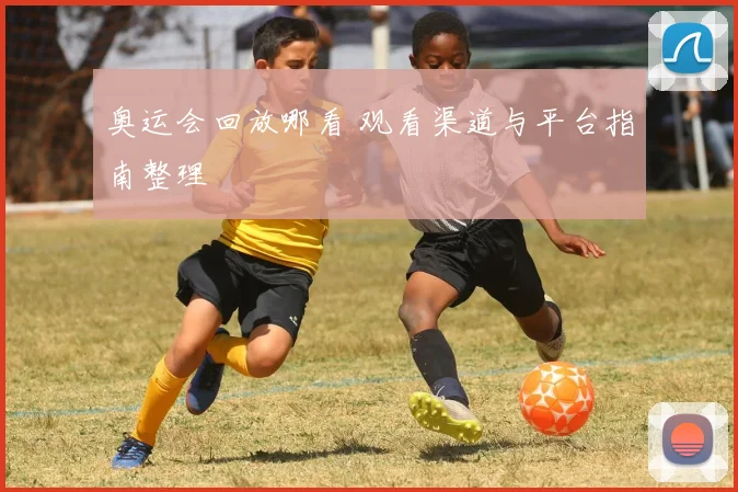 奥运会回放哪看 观看渠道与平台指南整理